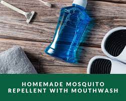 homemade mosquito repellent with mouthwash