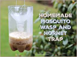 homemade mosquito trap make homemade