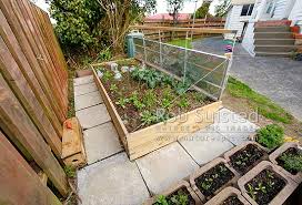 Raised Bed Vegetable Gardening In