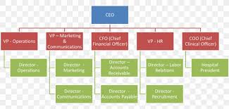 Organizational Chart Business Diagram Png 1405x675px