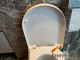 Toilet Seat Replacement Plumbing