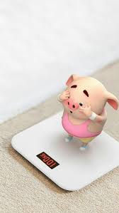 little pig cartoon pig p hd phone