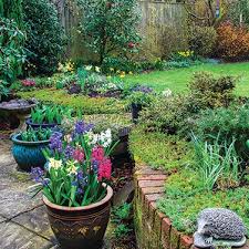 Container Gardening A Good Option With