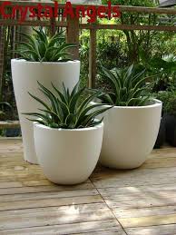 White Round Frp Planter Pot For