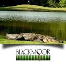 Blackmoor Golf Club | Murrells Inlet SC