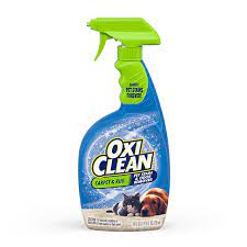 area rug pet stain odor remover
