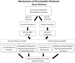 Flow Chart Outlining The Potential Mechanisms Of Improved