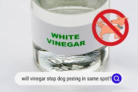 will vinegar stop dog ing in same