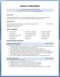 Resume Objectives         Free Sample  Example  Format Download     toubiafrance com