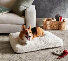 11 Best Dog Couches In 2024 Our Picks