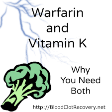 The drug is often referred to as a blood thinner. Warfarin And Vitamin K Why You Need Both Blood Clot Recovery Network