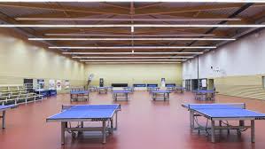 table tennis floors indoor sports