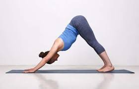 yoga poses to keep your mind and body