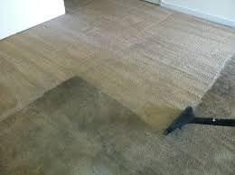 professional carpet cleaning before and