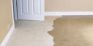 It's time to get prepared to deal with the damage. Flooded Basement How To Clean Up Flooded Basement