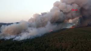 Marmaris'te orman yangını - Yeni Şafak