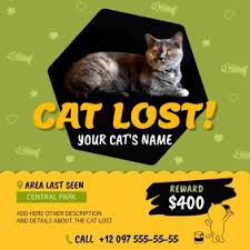 Looking for missing cat poster template jaxos co? 290 Lost Cat Customizable Design Templates Postermywall