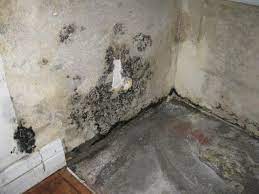 mold discovered behind bathroom counter