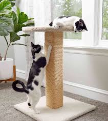 diy cat scratching post and cat tree
