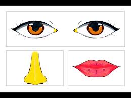eyes nose lips and face step by step