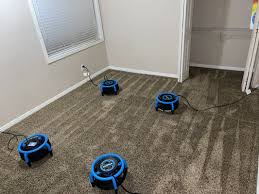 pristine carpet cleaning home