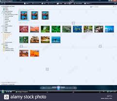Microsoft Windows Vista German Version Windows Photo