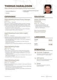 Digital Marketing Analyst Resume Samples 2019 With 7 Examples