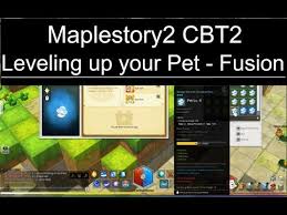 Every pet has identical stats at epic status and bonus talents can be changed around as needed. Maplestory 2 How To Level Up Your Pet Fast Rare Norm