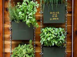 diy vertical garden ideas for indoors