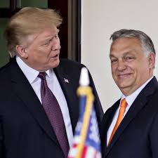 Viktor orbán is impossible to ignore, no easy feat for a leader of a mitteleuropean state of 10 million moral imperialism was what orbán called germany's unilateral opening of its borders in september. President Trump S Dream Is To Become America S Viktor Orban