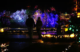 Holiday Lights Dazzle At Shore Acres Illuminating The