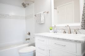 Small Bathroom Renovation With Delta