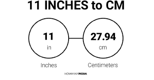 11 inches centimeters