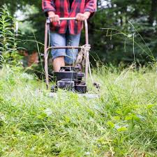 The new mower lost its get up and go today, which prompted a search of he is of the opinion that most lawn mowers function on a low compression ratio and therefore can do. How To Fix A Bad Lawn Planning Planet Natural