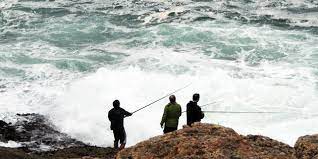 Instead of fishing for compliments, why don't you fish for some actual fishes? Best Recreational Fishing Spots In And Around Cape Town Cape Town