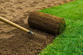 Before you buy, consider the time of year, your region and the sod farm that the sod comes from. What Are Sod Prices A Breakdown Of Sod Prices Near You