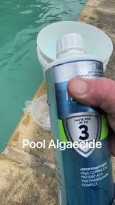 kill pool algae in 24 hours the best