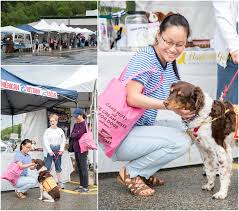 At healthy pets northwest we continue to follow social distancing recommendations for your safety and for our staff's safety so: North Hills Healthy Pet Day 2018 Bark Gold Photography Pittsburgh Pet And Dog Photographer