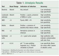 Interpretation Of Urinalysis And Urine Culture For Uti Treatment