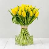 El significado de los tulipanes según su color - Blog Verdecora