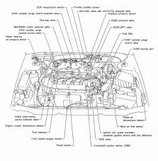 Carbureted pcm wiring diagram.gif nissan. Diagram 2001 Nissan Sentra Engine Diagram Full Version Hd Quality Engine Diagram Jdwiring Villaroveri It