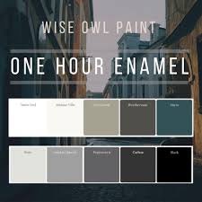 One Hour Enamel By Wise Owl Quart In 2019 Wise Owl Paint