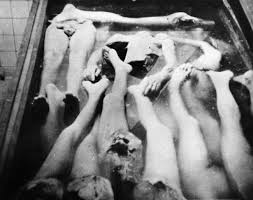 Image result for holocaust photos