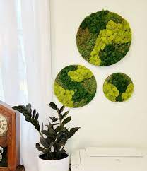 Circular Moss Art Hangings Wall Decor