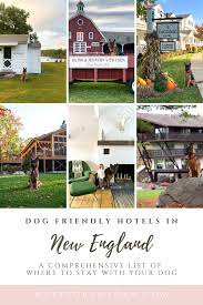 dog friendly hotels in new england