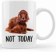 irish setter red not today dog mug