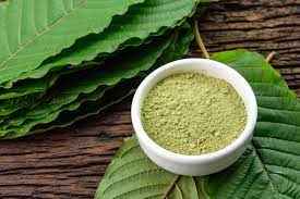 Kratom tea study stirs up new support for relieving opioid dependence | UF  Health, University of Florida Health