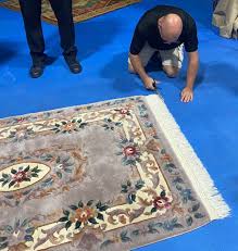 professional area rug cleaning in salt