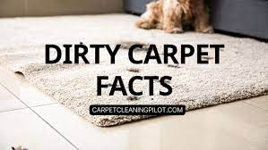 dirty carpet facts what every