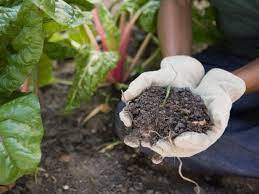 mix potting soil with garden soil